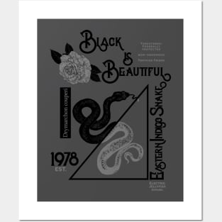 Black Is Beautiful Posters and Art